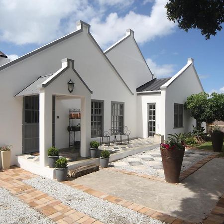 The Lily House Hotel Hermanus Buitenkant foto